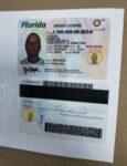 Florida Driver’s License ID Card