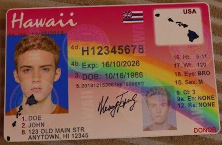 Hawaii Driver's License ID Card