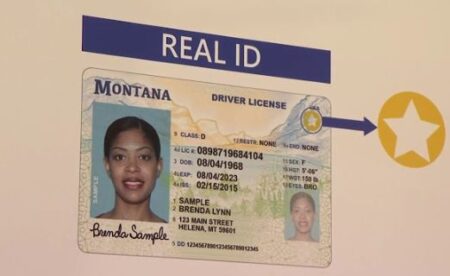 Buy Kentucky Driver's License and ID Card