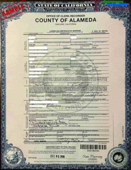 Marriage Certificate USA