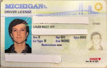 Michigan ID Card