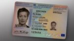 Netherlands ID Card new