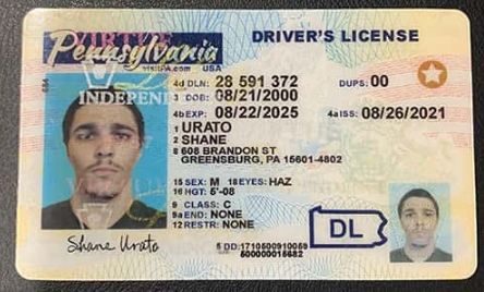 Buy Pennsylvania Driver's License and ID Card