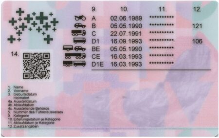 Swiss Driver's License