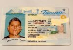 Buy Tennessee Driver's License and ID Card